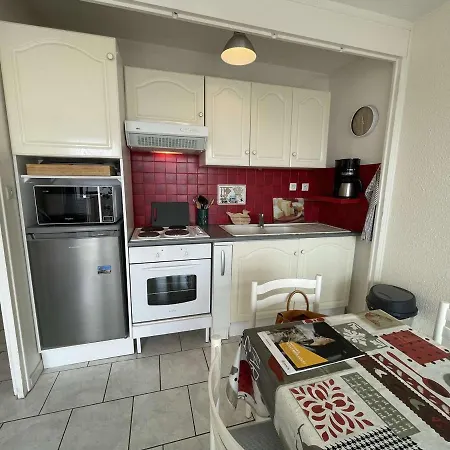 Climatise 3 Pieces Avec Loggia, Parking Et Parc Collectif, A 400m De La - Fr-1-225d-111 Apartment Saint-Cyprien (Pyrenees-Orientales)